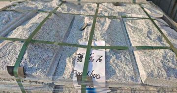 昌都芝麻白蘑菇石，自然面